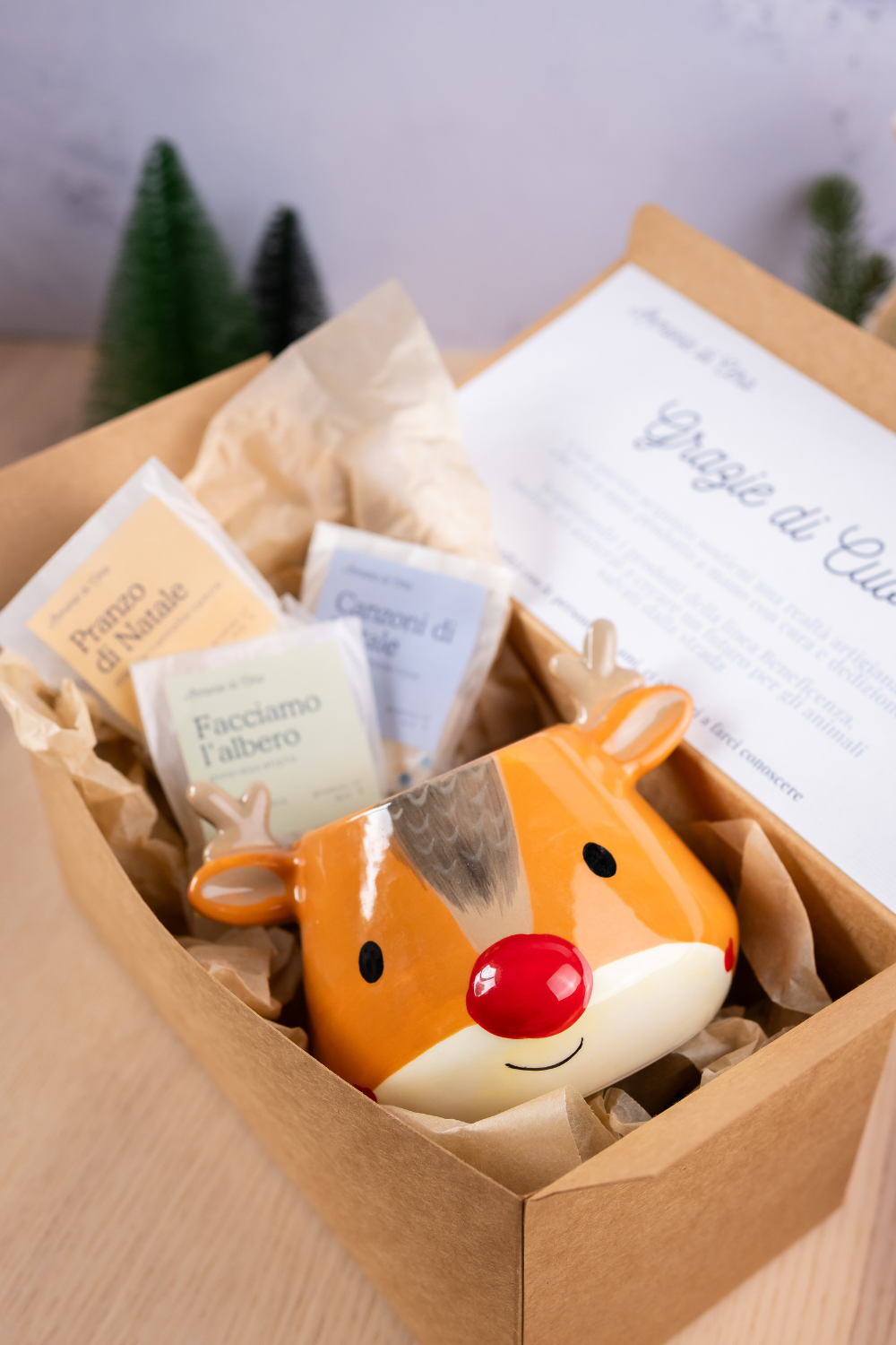 Confezione regalo Renna + cubetti glitter