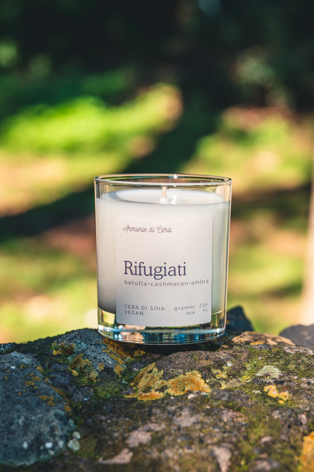 Rifugiati • betulla, cashmeran, ambra