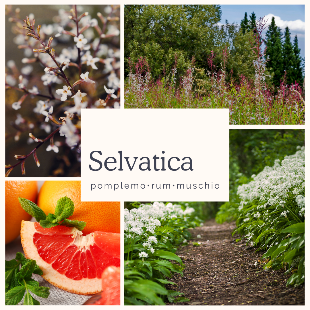 Selvatica • pompelmo, rum e muschio
