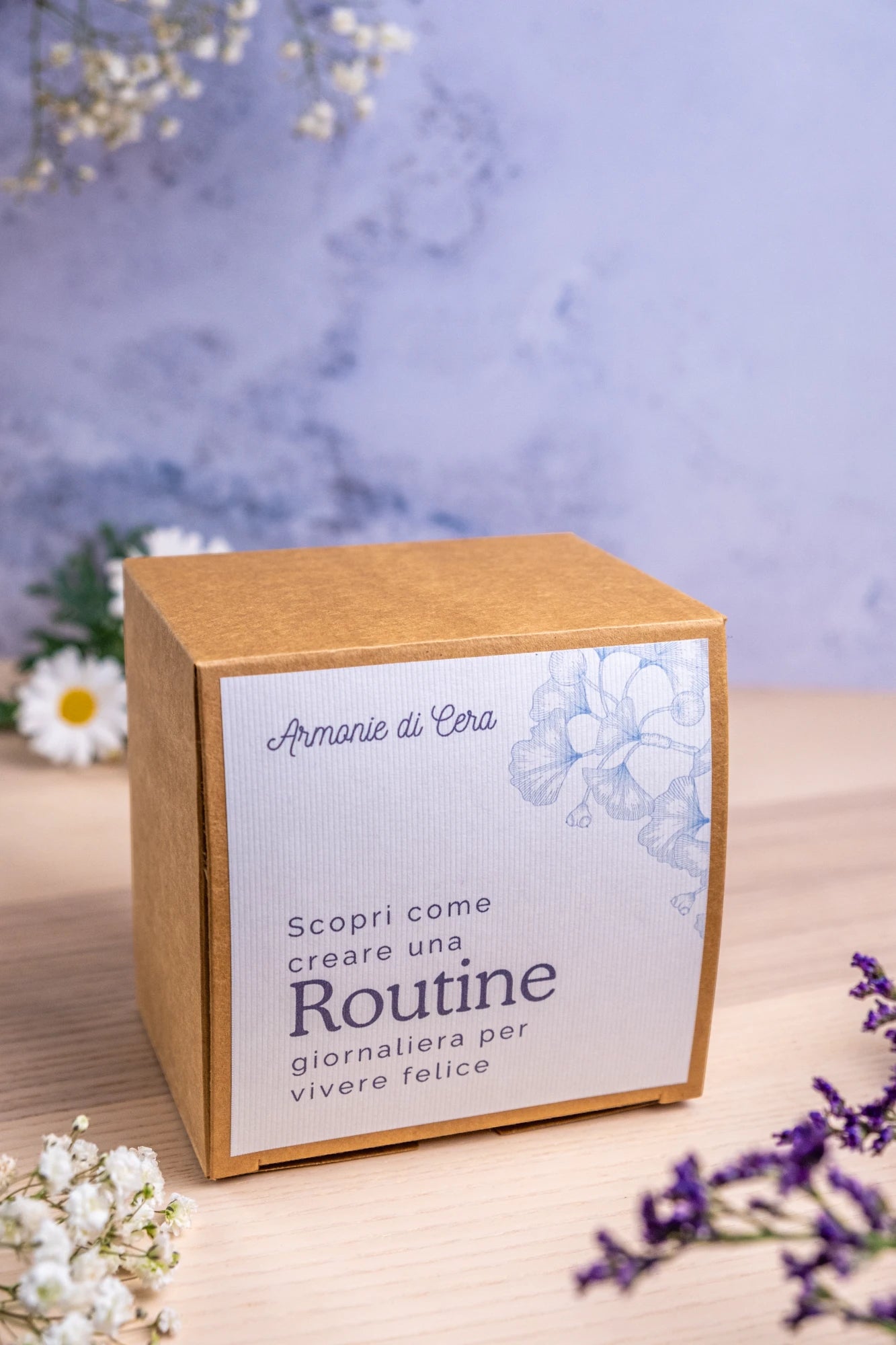 Box Routine Giornaliera