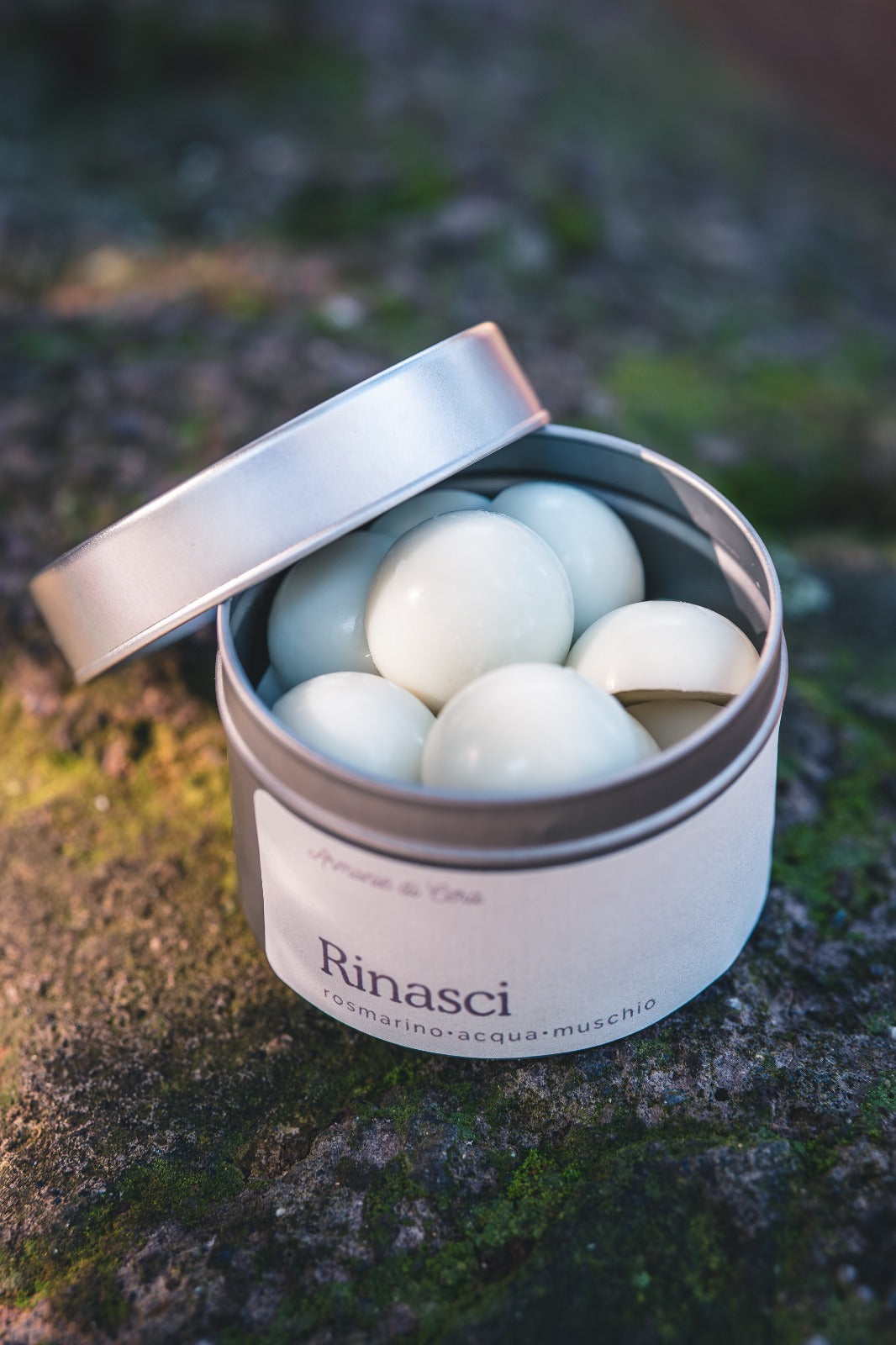 Rinasci • rosmarino, acqua, muschio