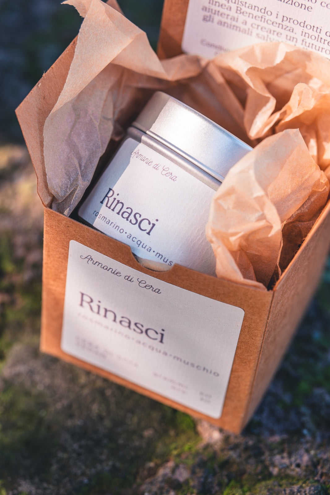 Rinasci • rosmarino, acqua, muschio