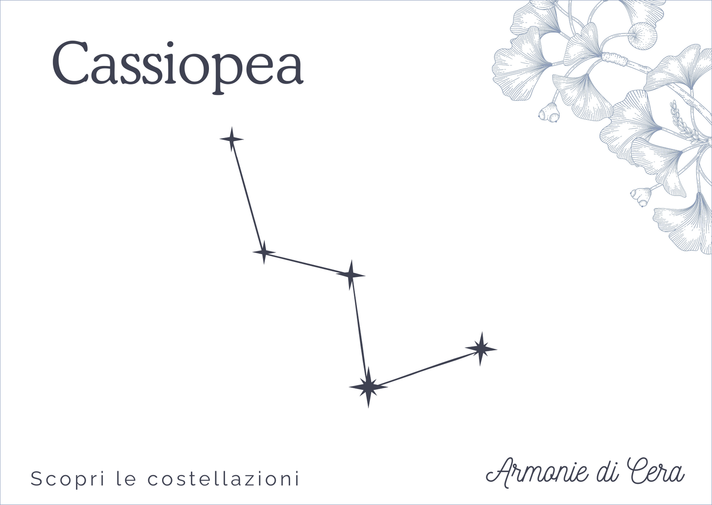 Box "Notte sotto le Stelle" + bruciatore
