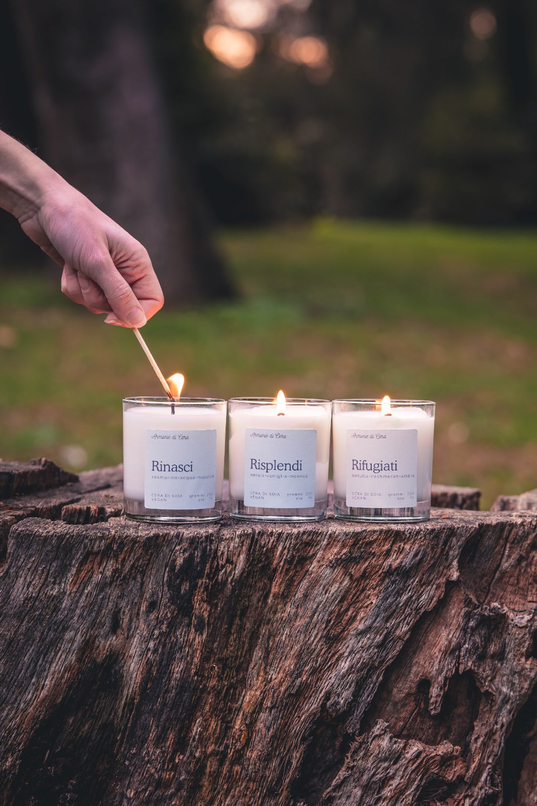 Rinasci • rosmarino, acqua, muschio