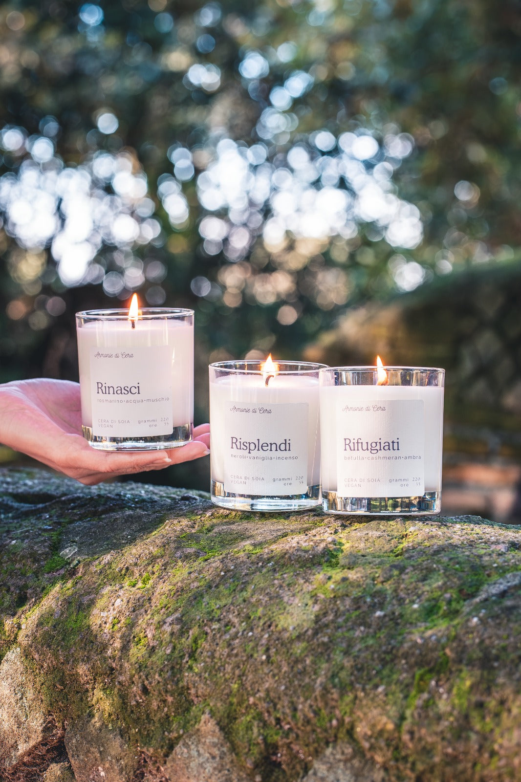 Rinasci • rosmarino, acqua, muschio