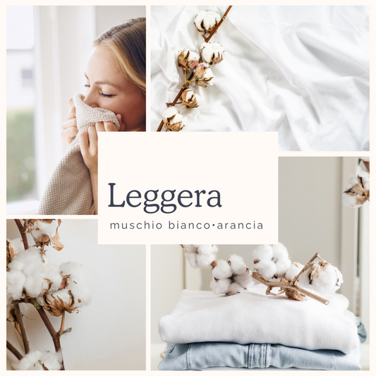 Leggera • muschio bianco e arancia