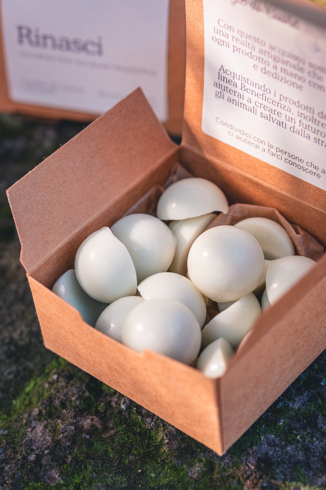 Rinasci • rosmarino, acqua, muschio