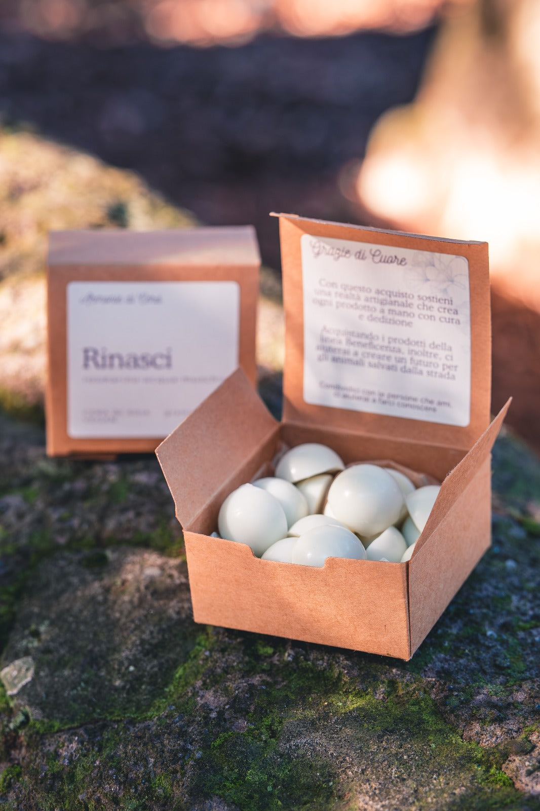 Rinasci • rosmarino, acqua, muschio