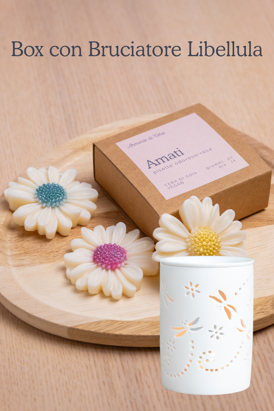 Box Amati con Bruciatore Libellula