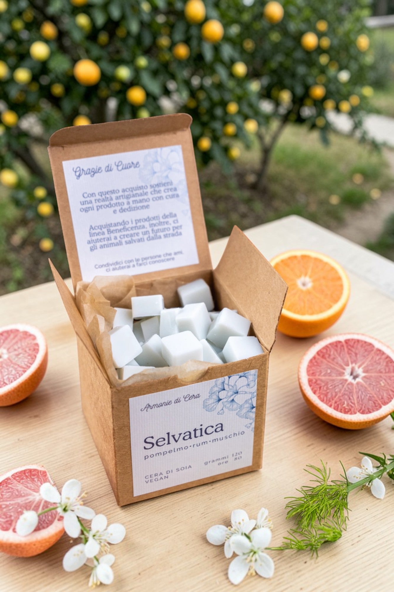 Selvatica • pompelmo, rum e muschio